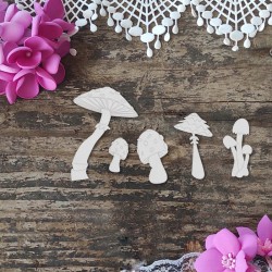 Magiczne grzybki duży zestaw