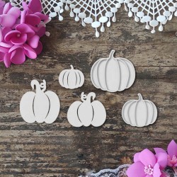 Dynie - zestaw 5 sztuk