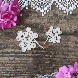 Jarzębina - 2 sztuki