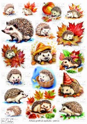 Jeże 01 - arkusz cyfrowy