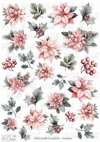 poinsecje ze znakiem wodnym.jpg