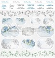 okladkacover-blue-roses.jpg