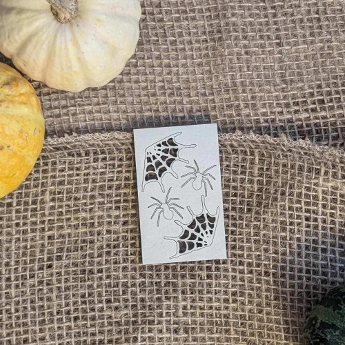 pająki i pajeczyny.jpg