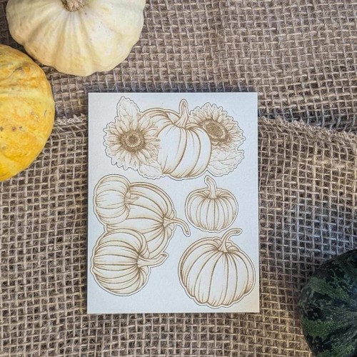 zestaw grawerowanych dyń.jpg