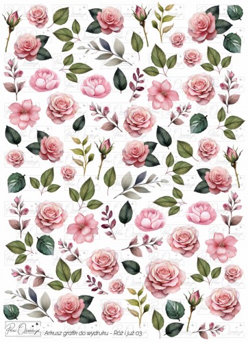 Roz i juz 03 znak wodny.jpg