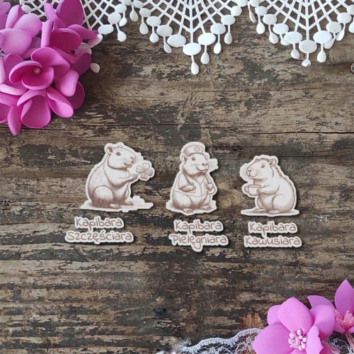 Kapibary zestaw 1.jpg