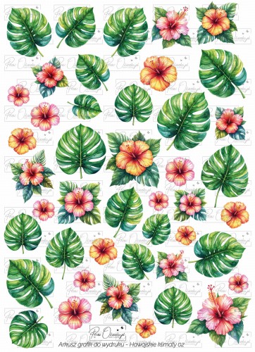 hawajskie klimaty 02 znak wodny.jpg