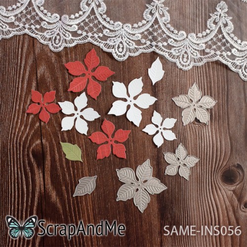 wykrojnik-poinsecje-same-ins056-scrapandme.jpg