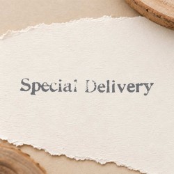 Stempel pocztowy - Special Delivery