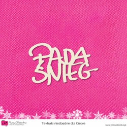 Napis “Pada śnieg”