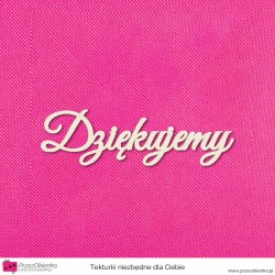 Napis “Dziękujemy”02