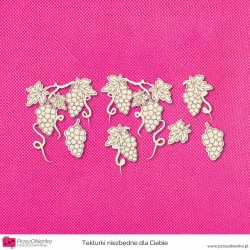 Zestaw winogronowych gałązek