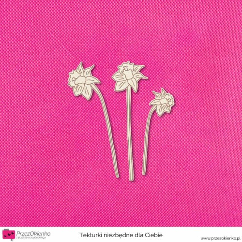 zonkile osobno 3 sztuki.jpg